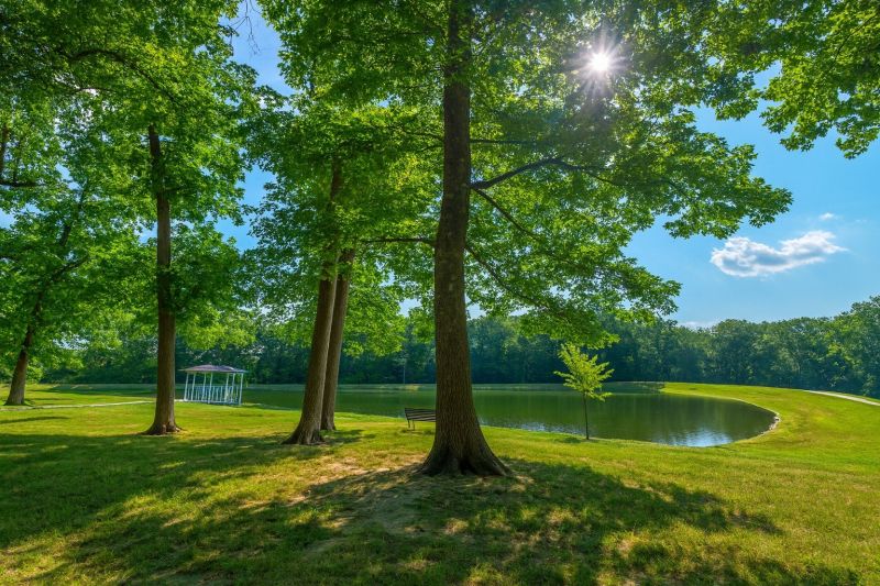 Best Tub To Shower Conversion pros in Wright City, MO