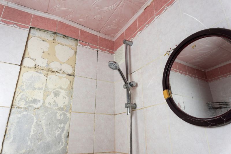 Top Shower Remodeling Companies in Wright City, MO